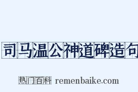 司马温公神道碑造句是什么意思的图片